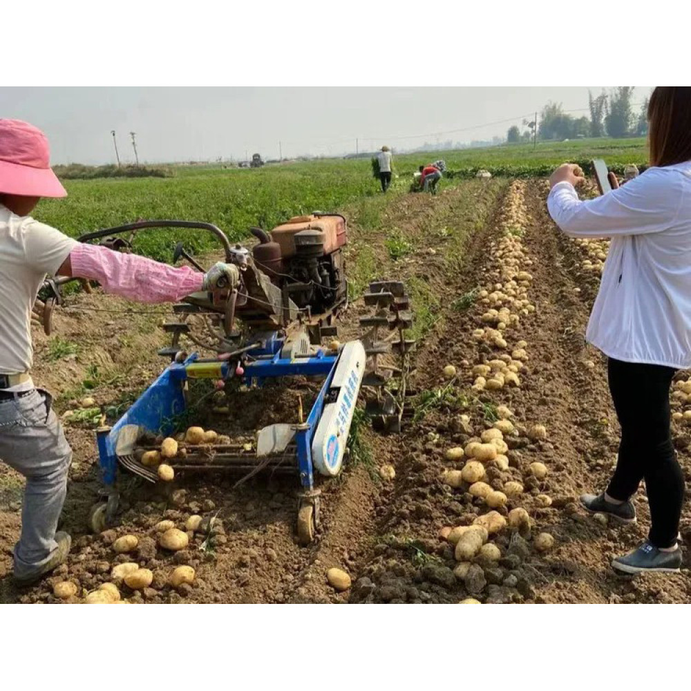 Як вибрати картоплесаджалку для мотоблока: поради для дачників і дрібних фермерів