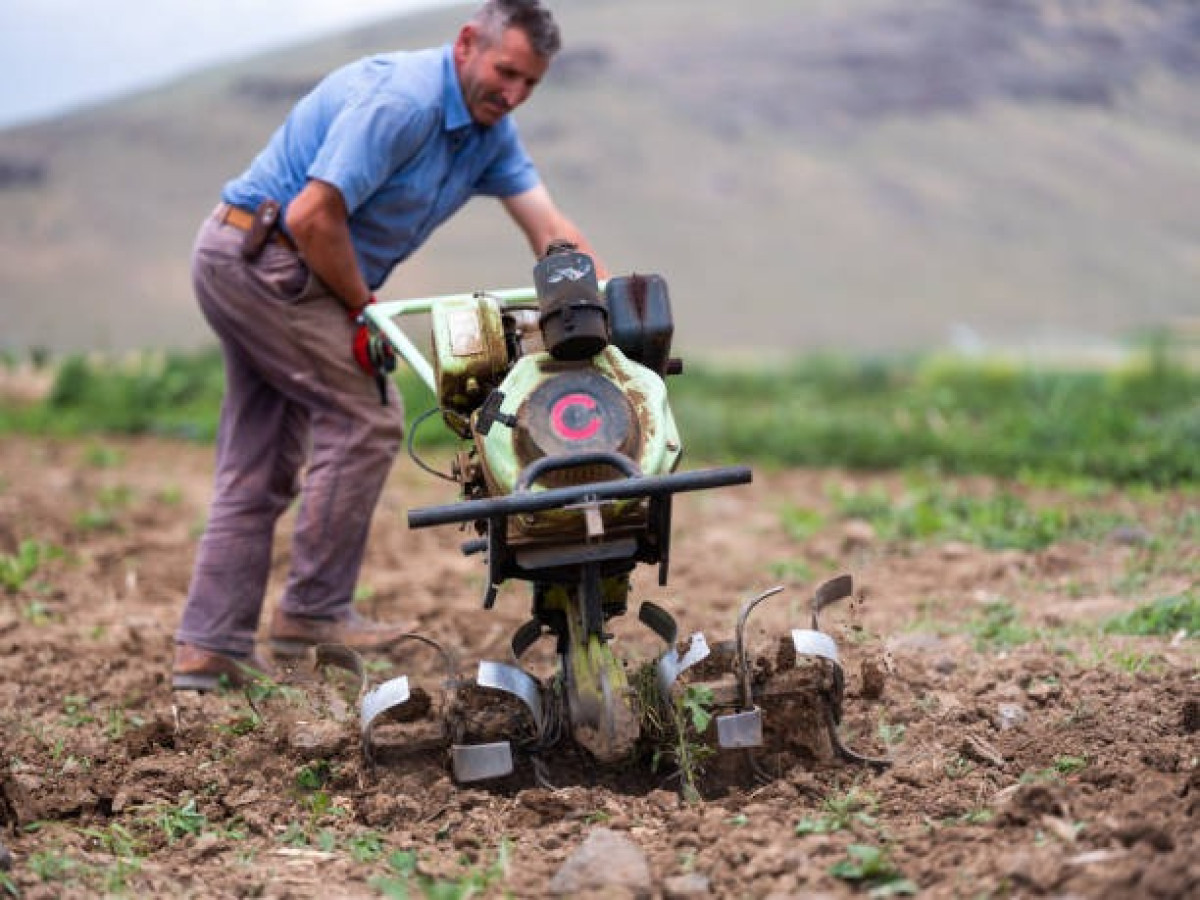 Як вибрати мотоблок для дачі і невеликого господарства: проста інструкція