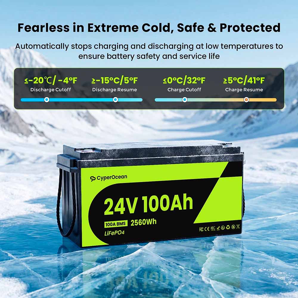 Аккумулятор LiFePO4 24V 100Ah (25.6V) 2560Wh | 100A BMS, 6000 циклов CyperOcean
