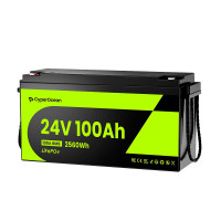 Аккумулятор LiFePO4 24V 100Ah (25.6V) 2560Wh | 100A BMS, 6000 циклов CyperOcean