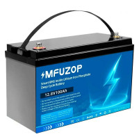 Аккумулятор 100Ah 12V BMS LiFePO4 MFUZOP