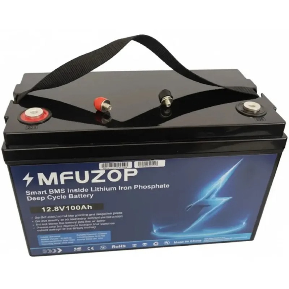 Аккумулятор 100Ah 12V BMS литий-железо-фосфатный LiFePO4 MFUZOP
