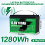 Аккумулятор LiFePO4 12.8V 100Ah (1280Wh) с BMS 100A Zero Era