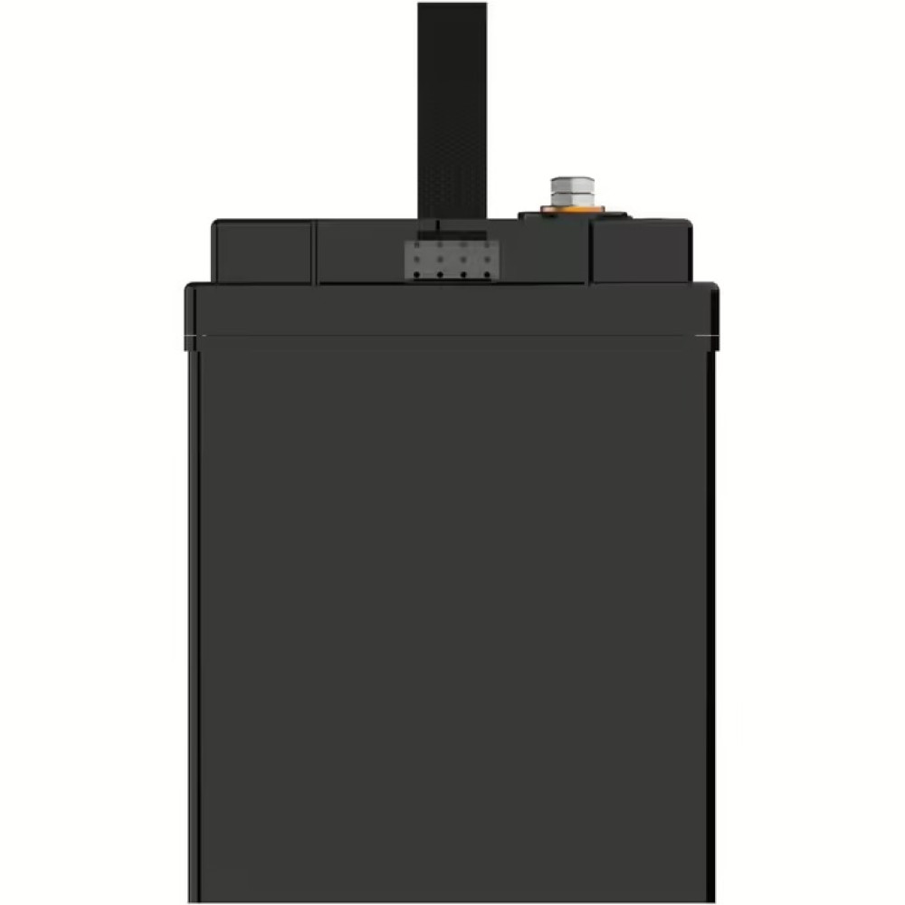 Аккумулятор LiFePO4 100Ah 12V BMS литий-железо-фосфатный Datou Boss 