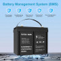 Аккумулятор LiFePO4 100Ah 12V BMS литий-железо-фосфатный Datou Boss 