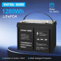 Аккумулятор LiFePO4 100Ah 12V BMS литий-железо-фосфатный Datou Boss 