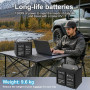 Аккумулятор LiFePO4 100Ah 12V BMS литий-железо-фосфатный Datou Boss 