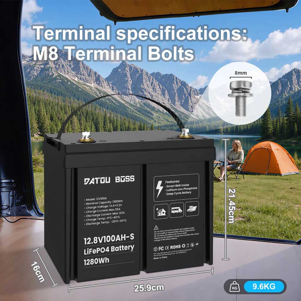 Аккумулятор LiFePO4 100Ah 12V BMS литий-железо-фосфатный Datou Boss 