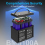 Аккумулятор LiFePO4 100Ah 12V BMS литий-железо-фосфатный Datou Boss 