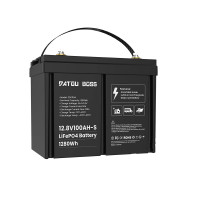 Акумулятор LiFePO4 100Ah 12V BMS Datou Boss