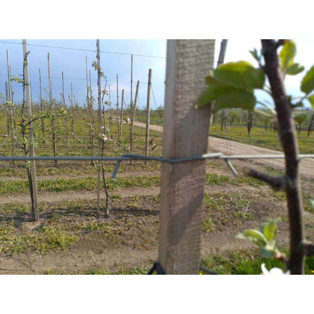 Скоба крепление для шпалер (100 шт.) 3 мм Буковинка