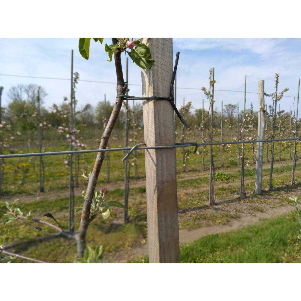 Скоба крепление для шпалер (100 шт.) 3 мм Буковинка