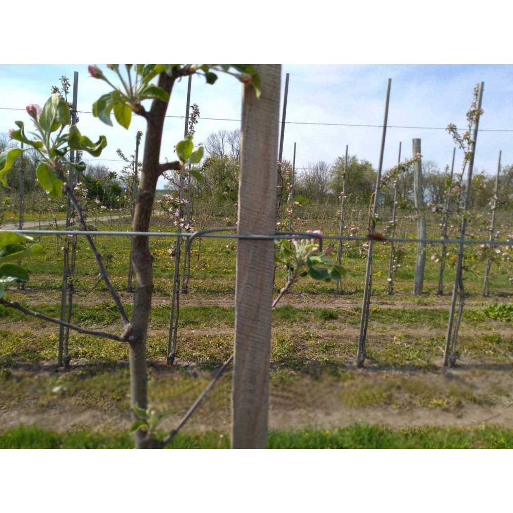 Скоба крепление для шпалер (100 шт.) 3 мм Буковинка