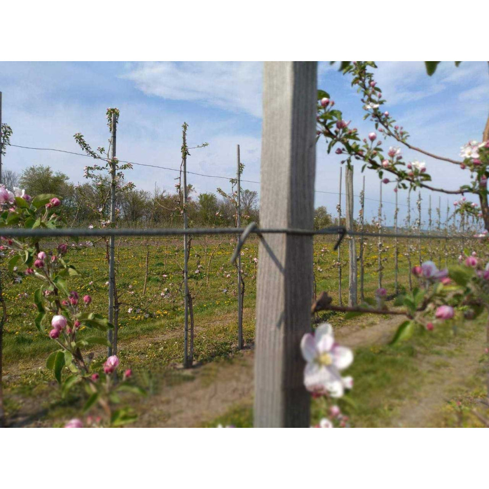 Скоба крепление для шпалер (100 шт.) 3 мм Буковинка